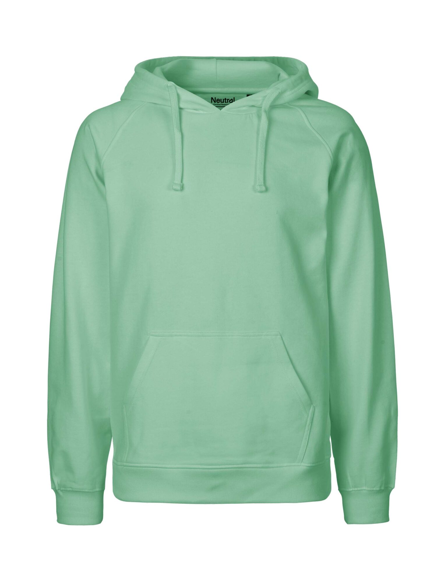 Mens Hoodie Neutral Mens Hoodie Dusty Mint